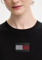 TJW REG PARTY FLAG TEE EXT